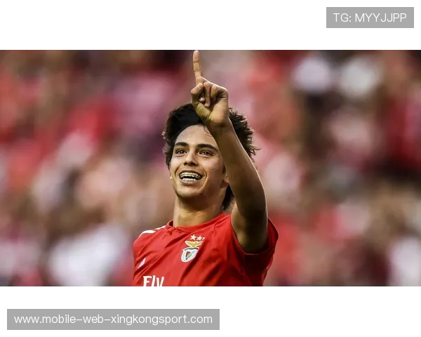 本菲卡积极调整外援引进时间表，稳健铺设未来新星之路