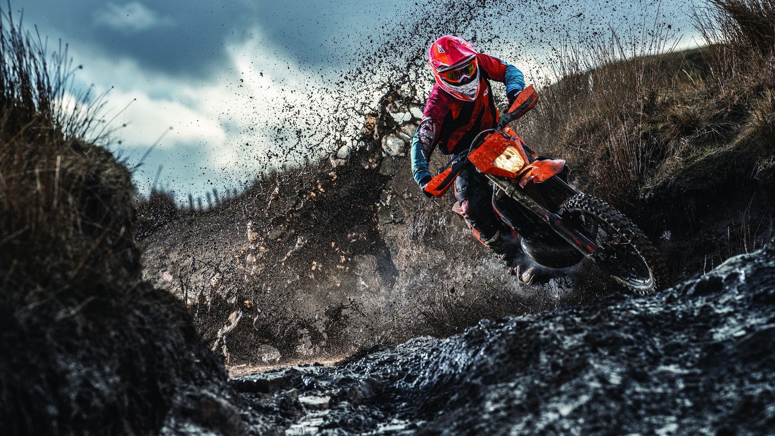 “企业团建运动会升级版” 加入定向越野与团队决策环节